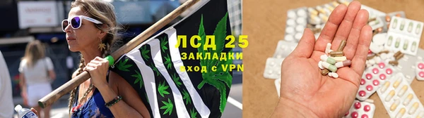 спайс Новодвинск