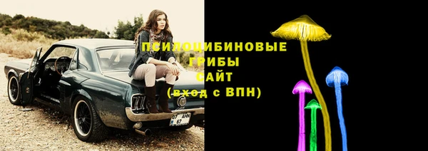 спайс Новодвинск