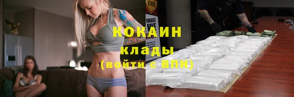 спайс Новодвинск