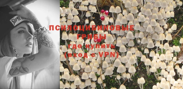 спайс Новодвинск