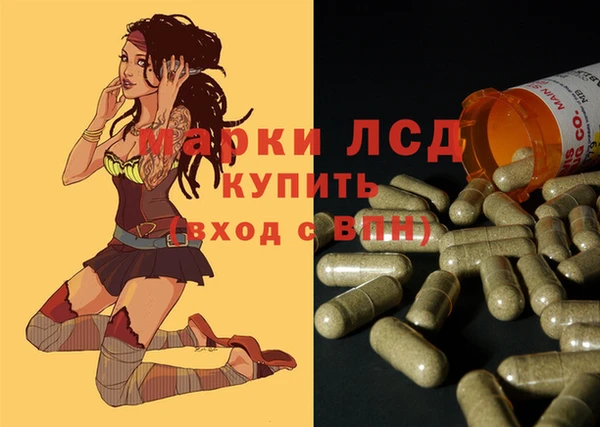 спайс Новодвинск