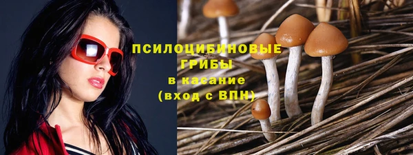 прущая мука Новозыбков