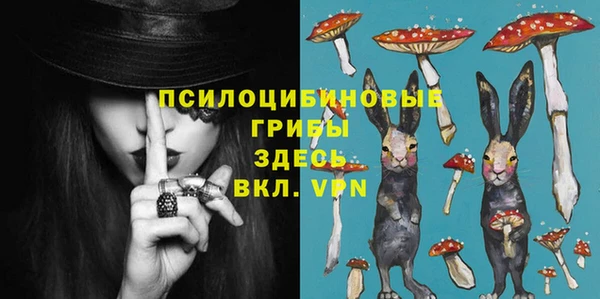 спайс Новодвинск