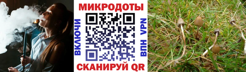 Псилоцибиновые грибы Magic Shrooms  Черемхово 